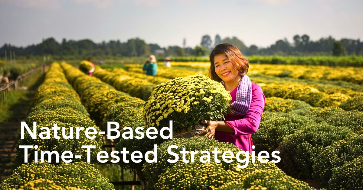 Crop Rotation and Intercropping in Sustainable Floriculture