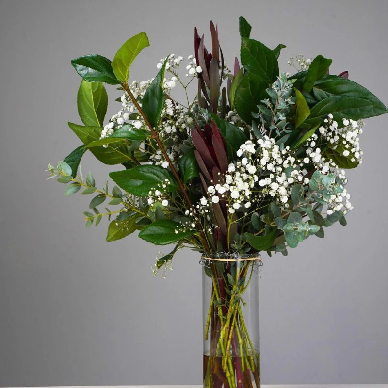 Viburnum by TAK