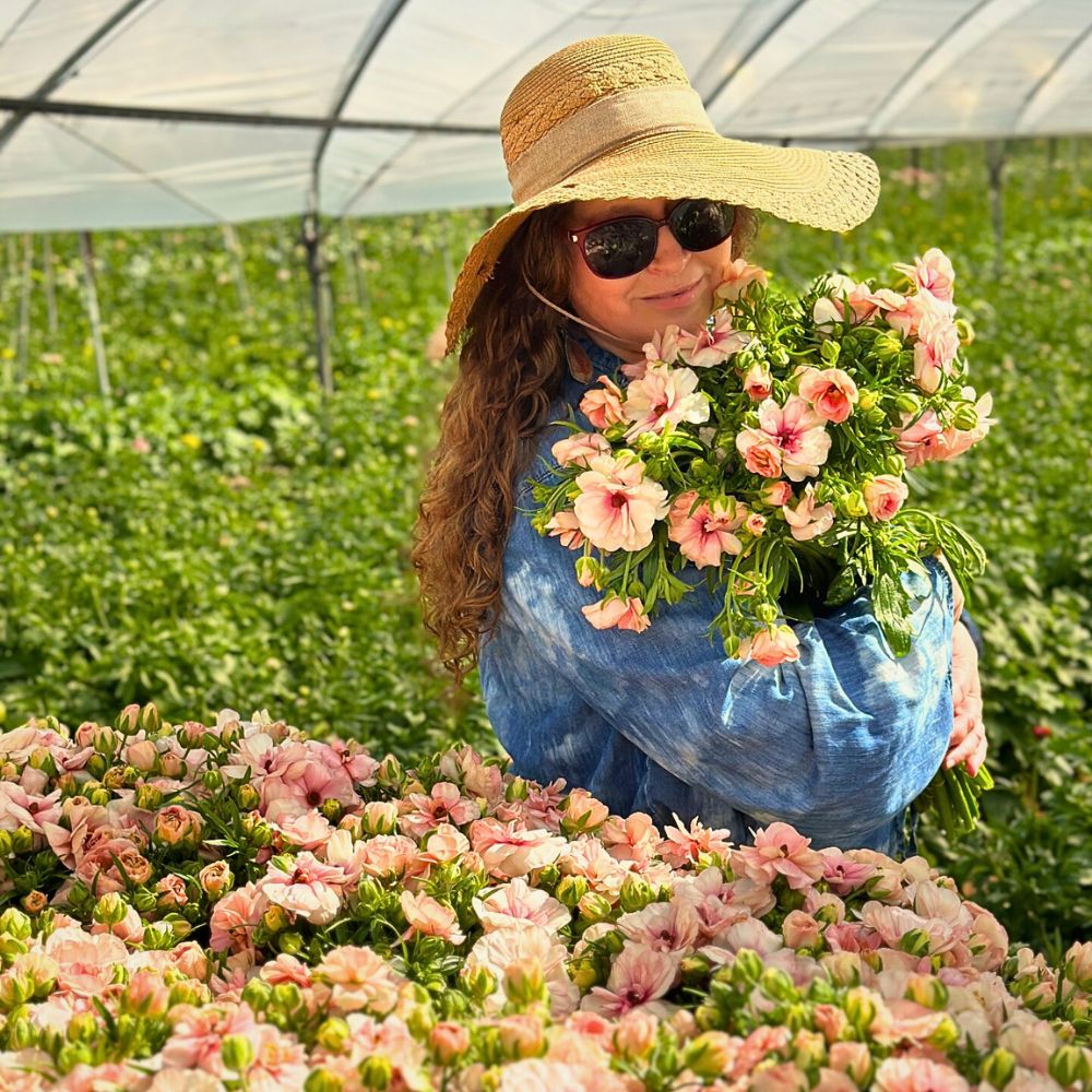 Flower cultivation Crop Rotation and Intercropping Present a Unique Approach to Sustainable Floriculture
