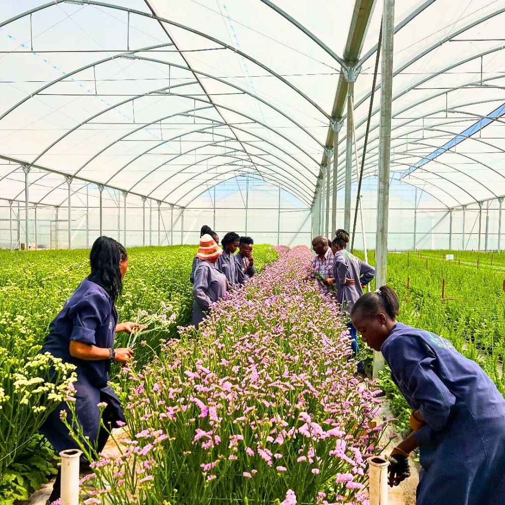 The Flower Hub Is Now a Certified B Corp; What Does This Mean?