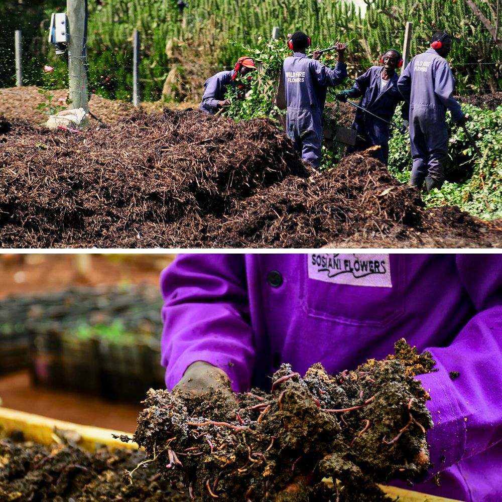 Compost manure preparation The Flower Hub Has Achieved a Certified B Corporation Status