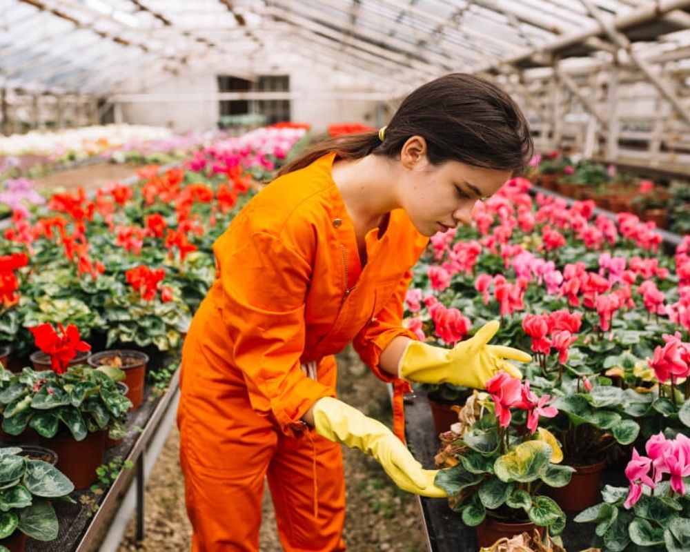 Horticonnect Expo Worker in Greenhouse