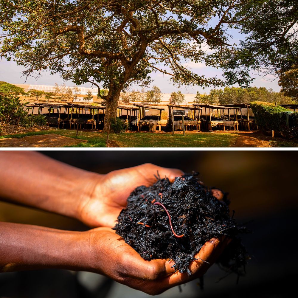The Flower Hub Has Achieved a Certified B Corporation Status