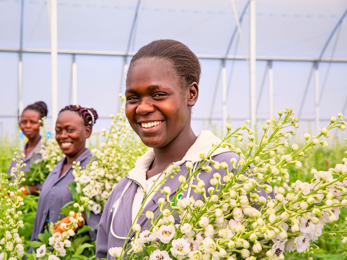 Delphiniums The Flower Hub Has Achieved a Certified B Corporation Status