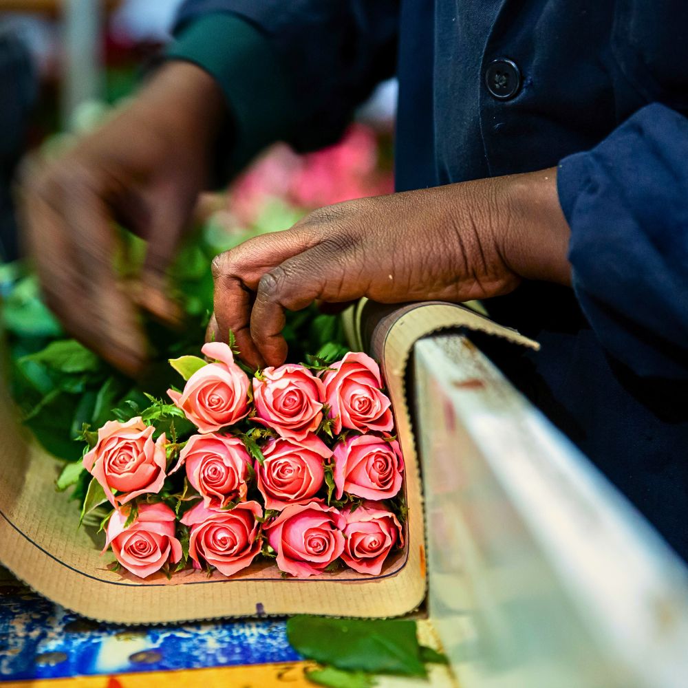 The Flower Hub Has Achieved a Certified B Corporation Status