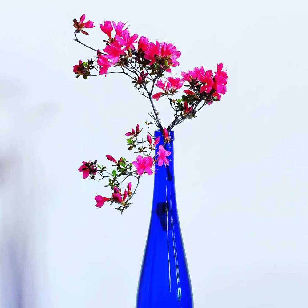 Azalea Flower Meaning