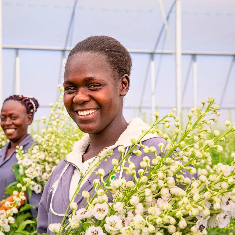 The Flower Hub Has Achieved a Certified B Corporation Status
