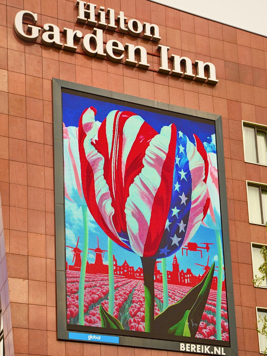Tulip floral art piece of the U.S Flag Wilma Mesma’s Tulip Artwork Along President Trump’s Route to NATO Summit Highlights Dutch and U.S Ties