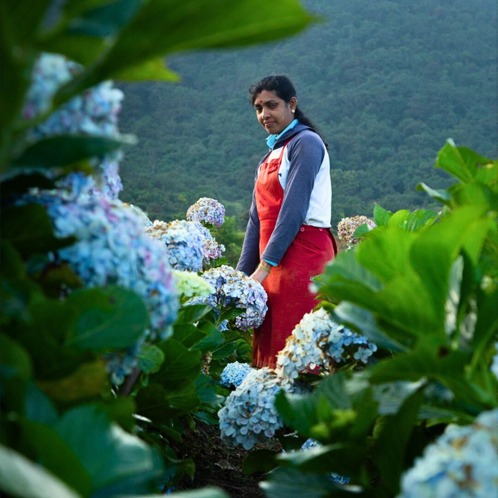 Fairtrade Flowers and What Makes Them Tick All the Right Boxes