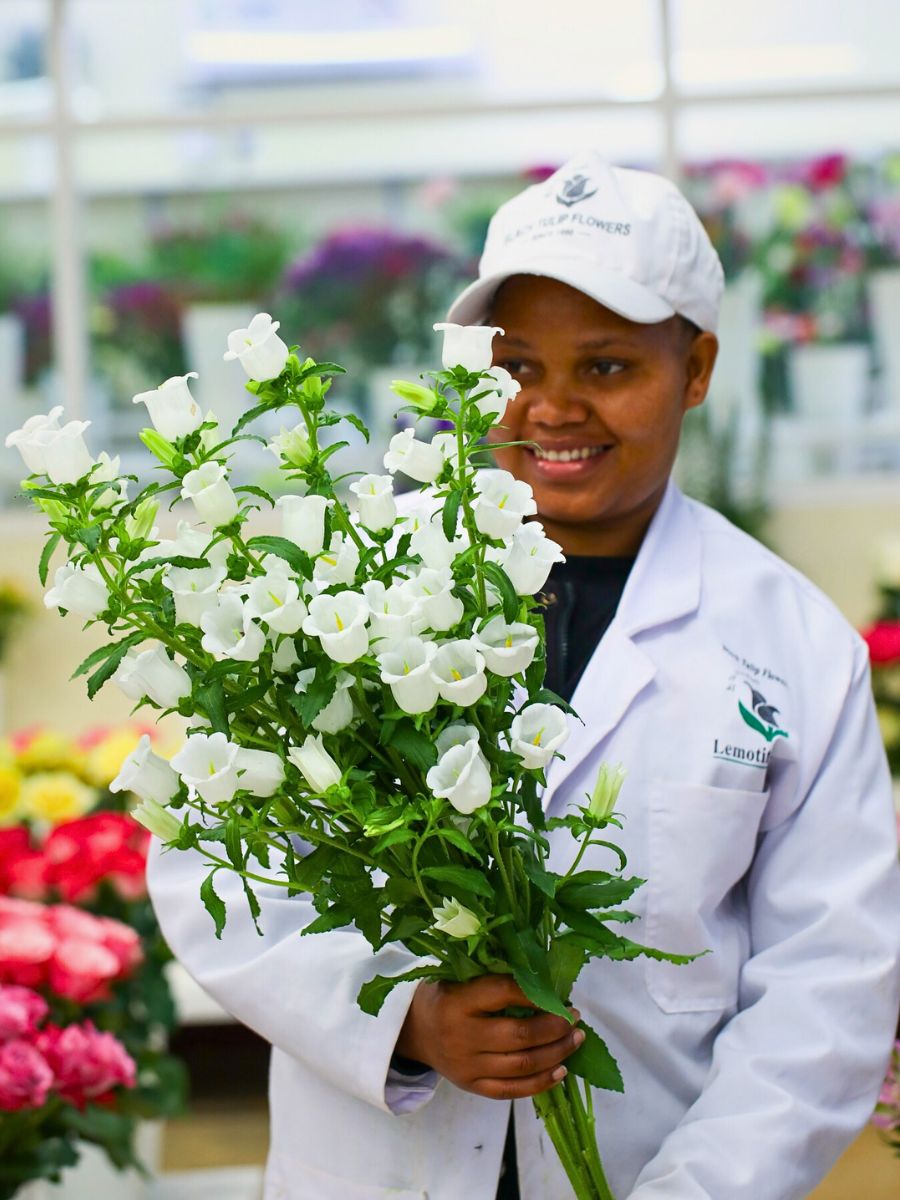 Fairtrade Flowers and What Makes Them Tick All the Right Boxes