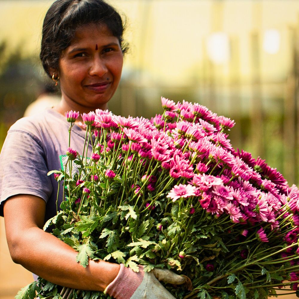 Fairtrade Flowers and What Makes Them Tick All the Right Boxes