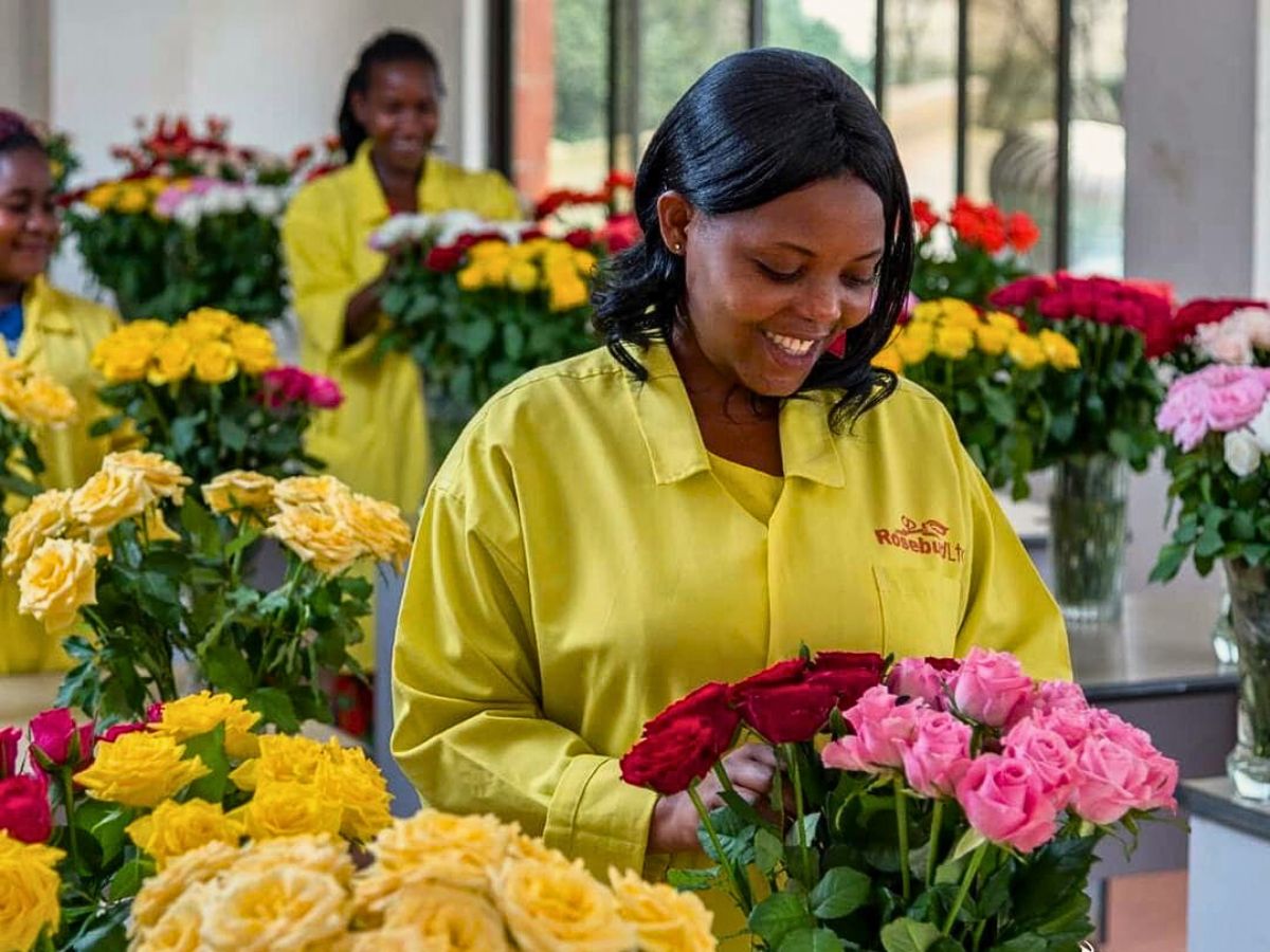 Fairtrade Flowers and What Makes Them Tick All the Right Boxes