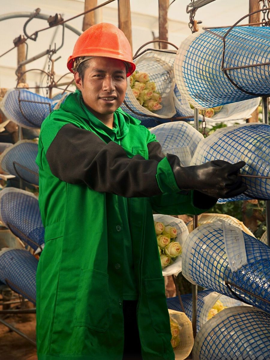 Fairtrade Flowers and What Makes Them Tick All the Right Boxes