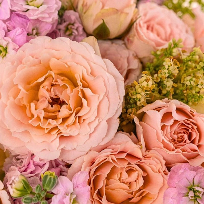 Alexandra Farms spray roses