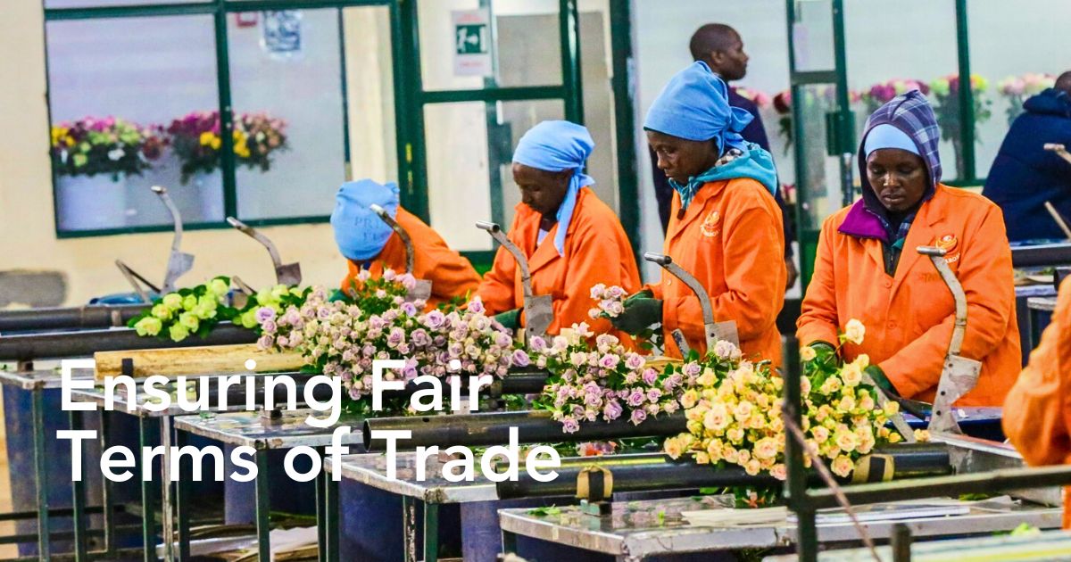Fairtrade Is All About Ensuring Better Prices, Safe Working Conditions, Local and International Sustainability, and Fair Terms of Trade for Flower Growers and Workers.