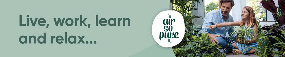 Banner Air So Pure v6 Desktop
