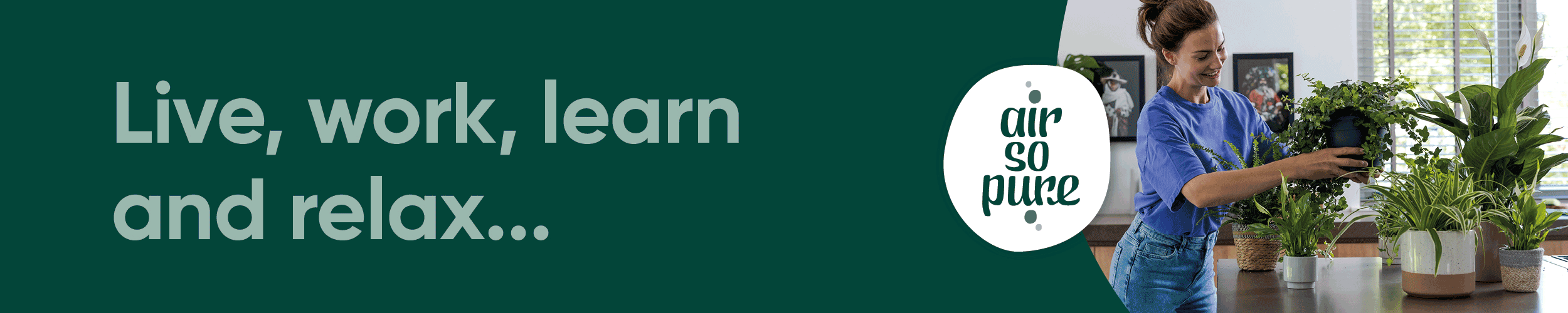 Banner Air So Pure v5 GIF Desktop