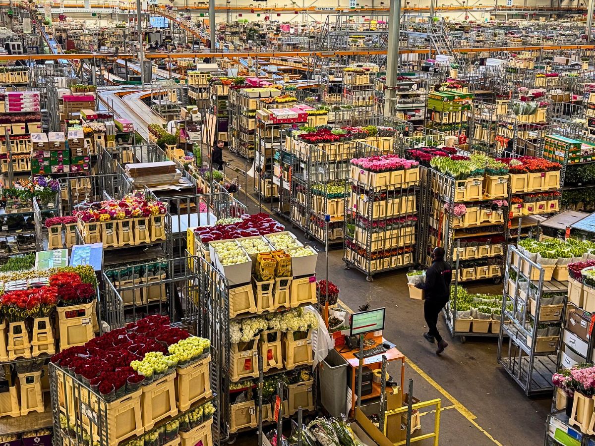 Floral supply Blockchain for Transparent, Sustainable Flower Supply Chains