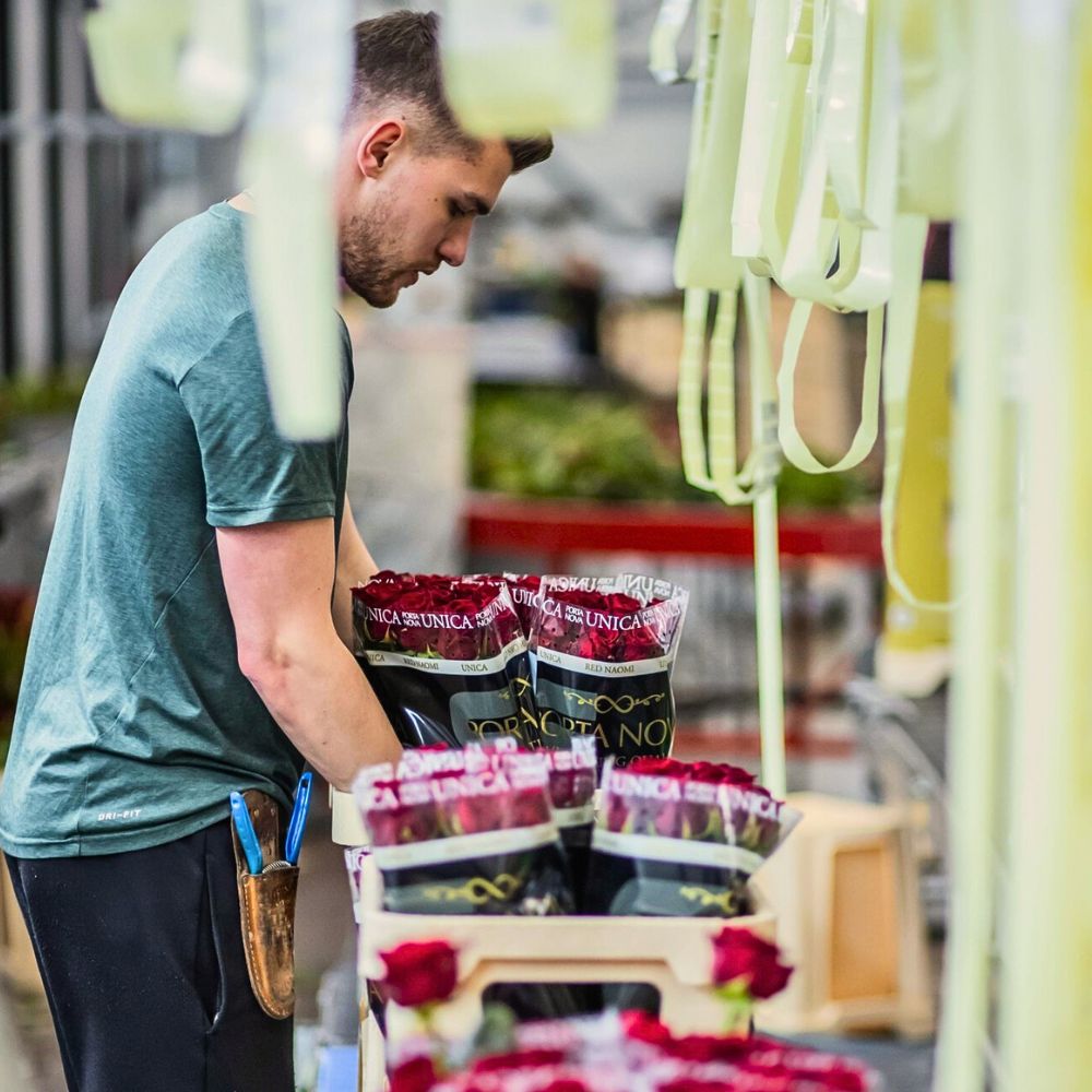 Roses Blockchain for Transparent, Sustainable Flower Supply Chains