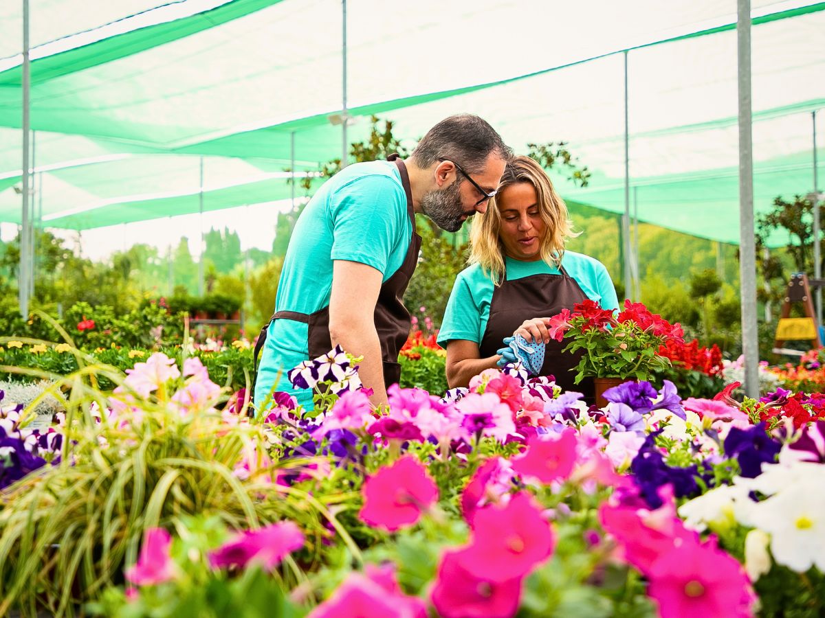 Sustainabloom Grows Its Extensive Resource Library With New Floriculture Sustainability Guides
