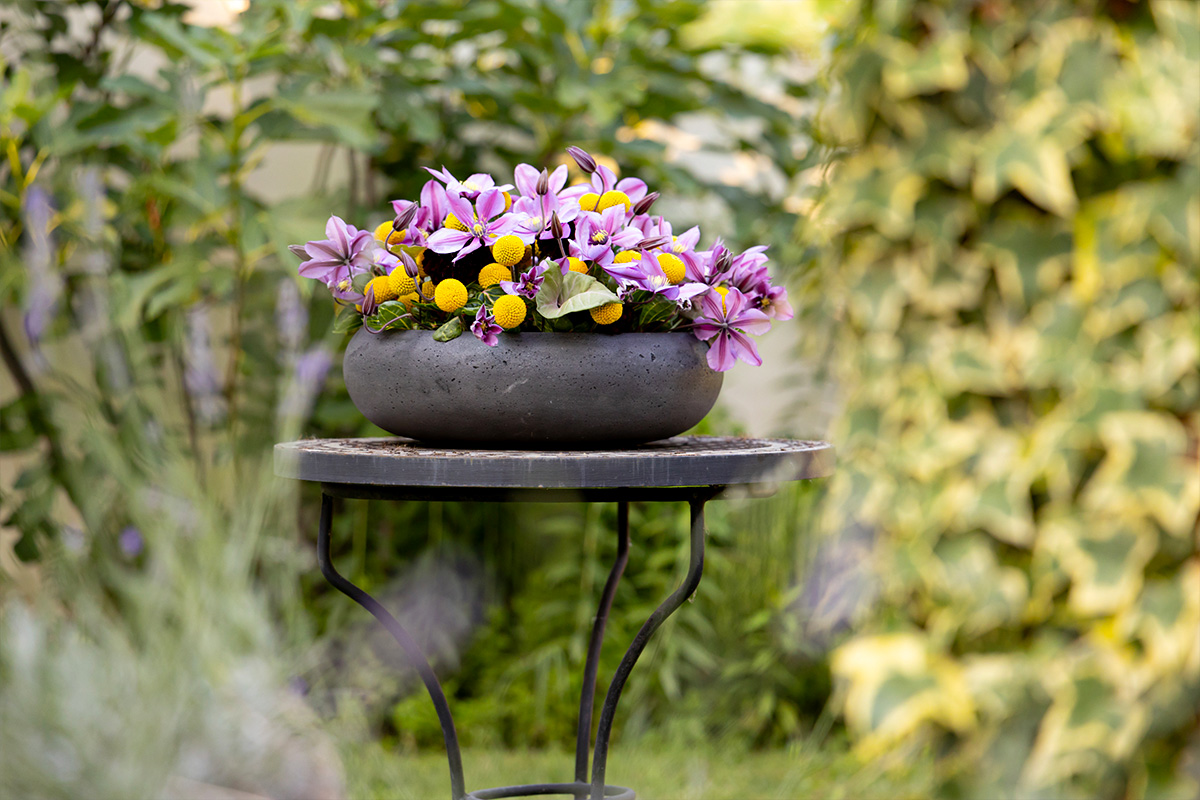 Krisztian Kover Garden Bowl on metal table