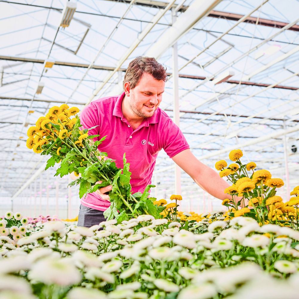 Sustainabloom Grows Its Extensive Resource Library With New Floriculture Sustainability Guides