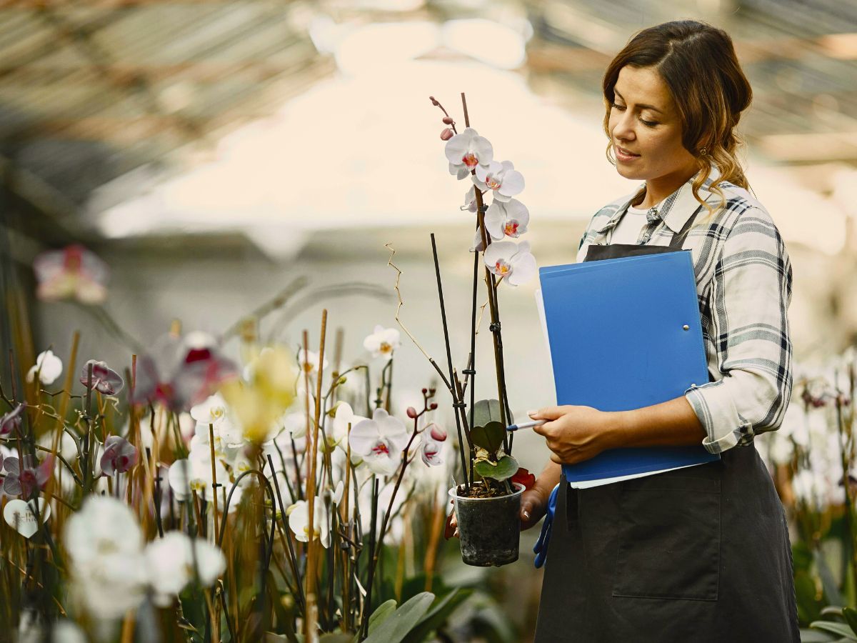 Sustainabloom Grows Its Extensive Resource Library With New Floriculture Sustainability Guides