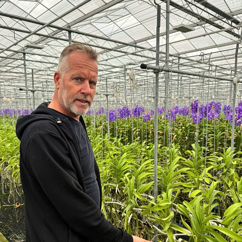 Steef van Adrichem of Ansu Vanda Steef van Adrichem of Ansu Vanda