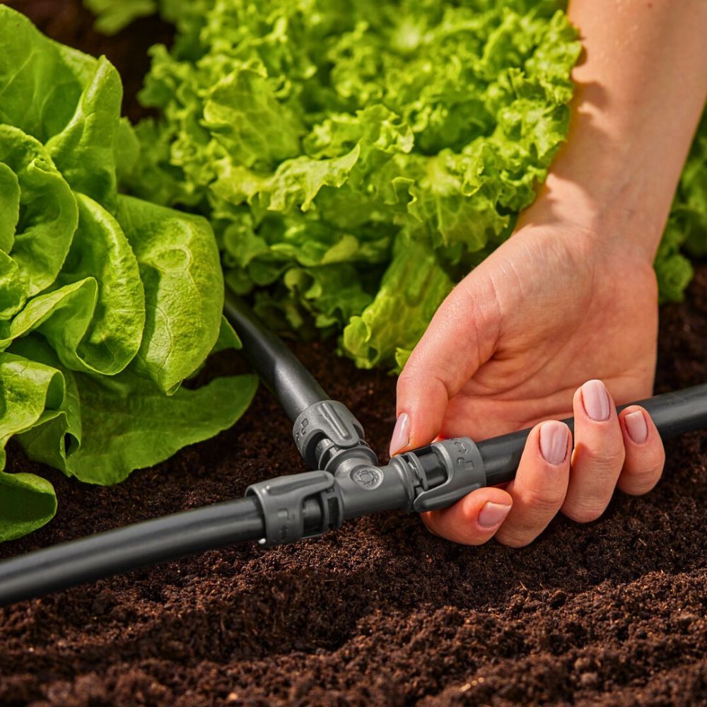 Trickle irrigation Making a Case for Drip Irrigation as a Catalyst for a Truly Sustainable Flower Industry