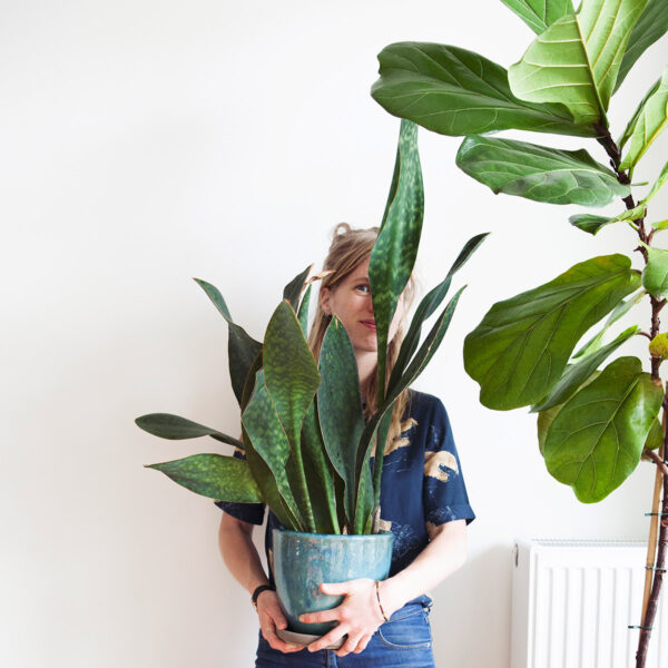 Mama Botanica - Spreading Plant Love