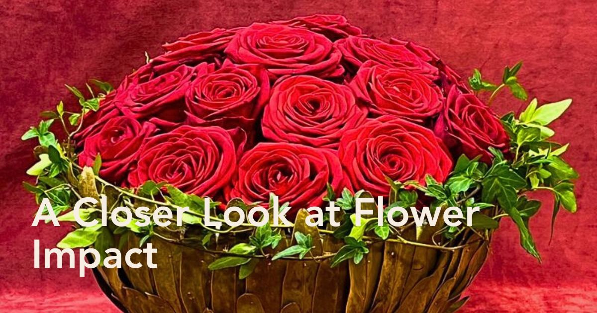 How Red Roses Impact the Mind and Body