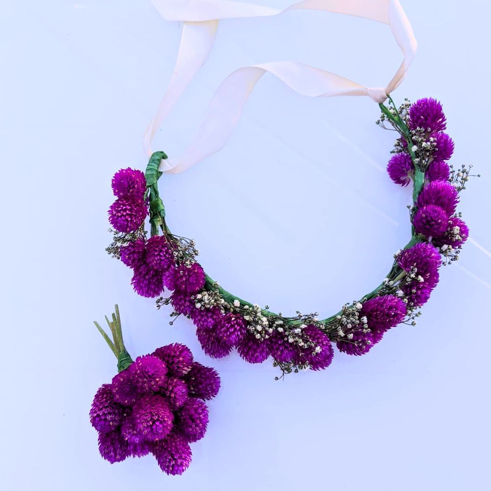 the bright color and shades of purple are typically distinct in globe amaranth flowers