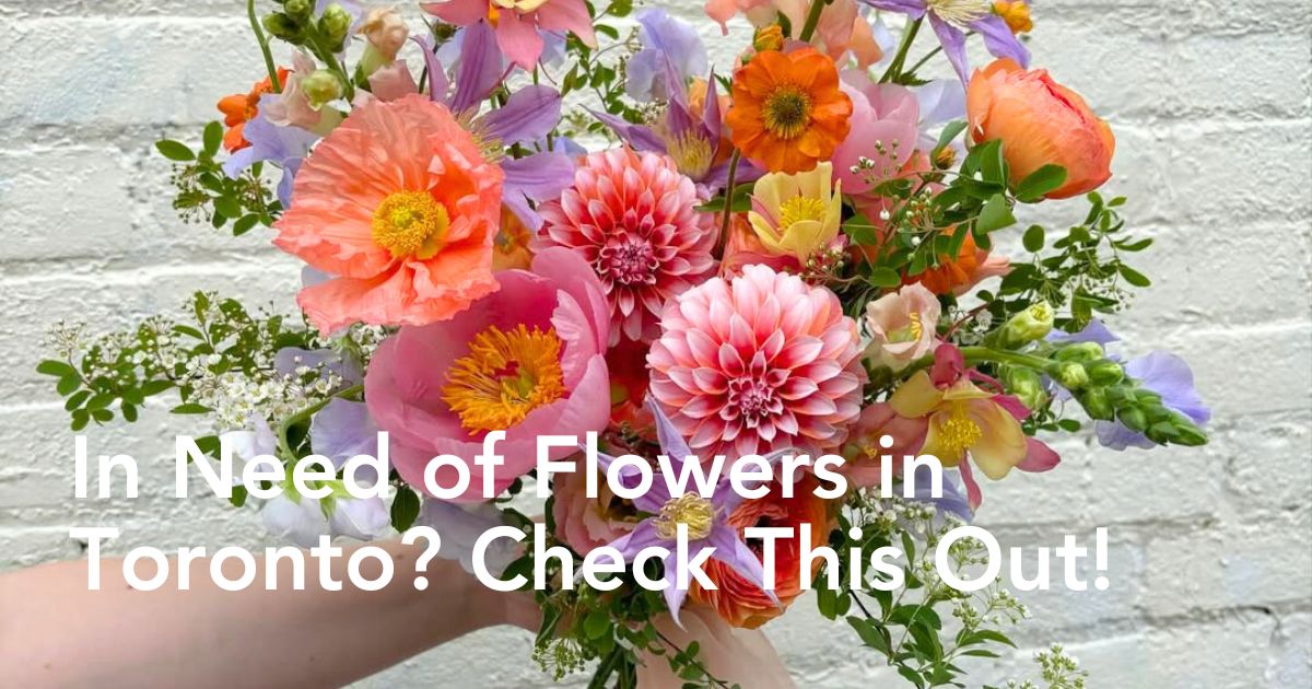 Deanna Balmer floral design