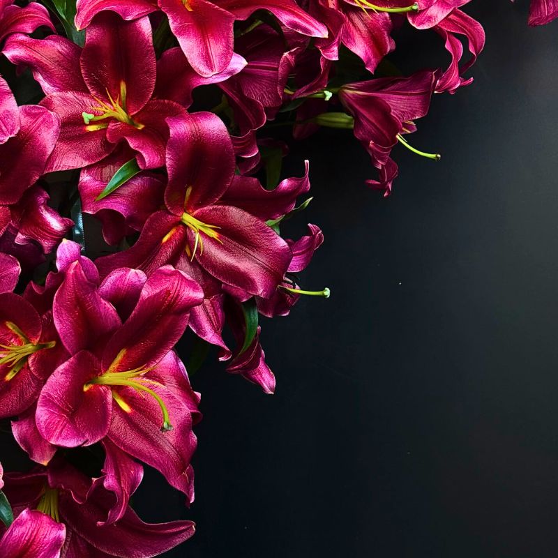 Close Up Lilies by BFF Sofi Sculp Amsterdam