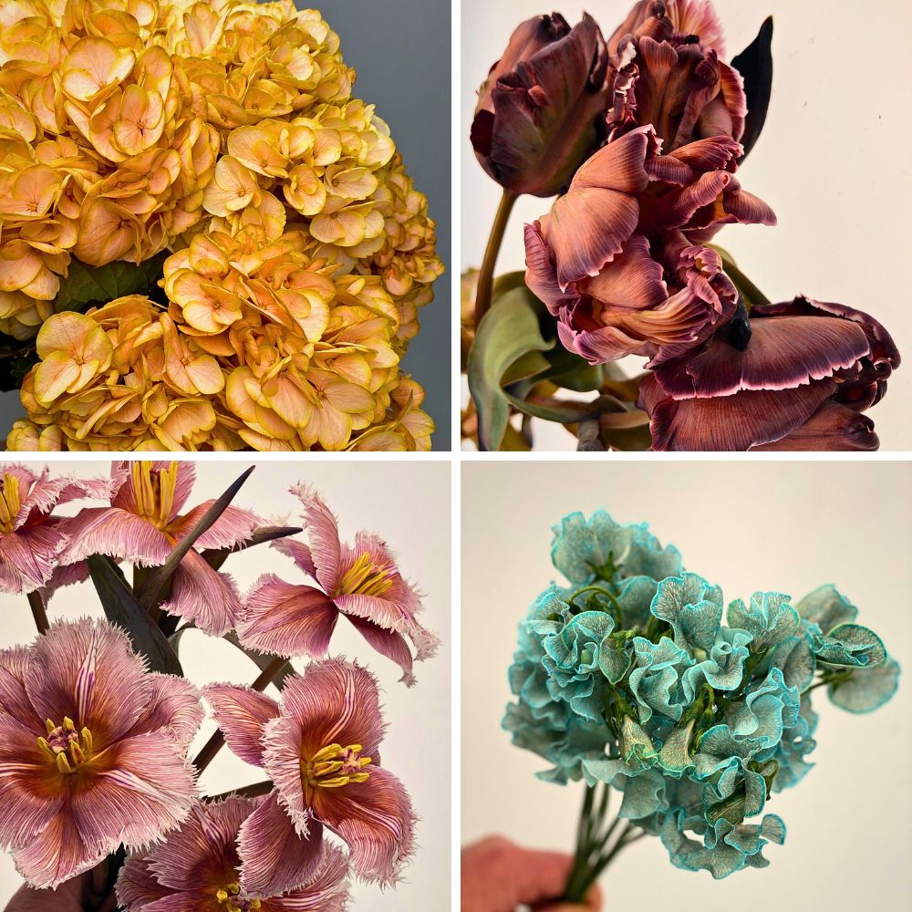 Vip Roses Brings You Practically All Kinds of Dyed and Tinted Flowers.