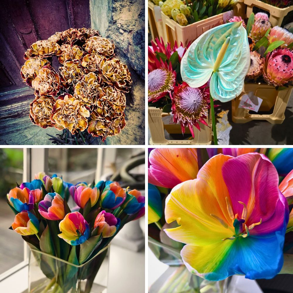 Vip Roses Brings You Practically All Kinds of Dyed and Tinted Flowers.