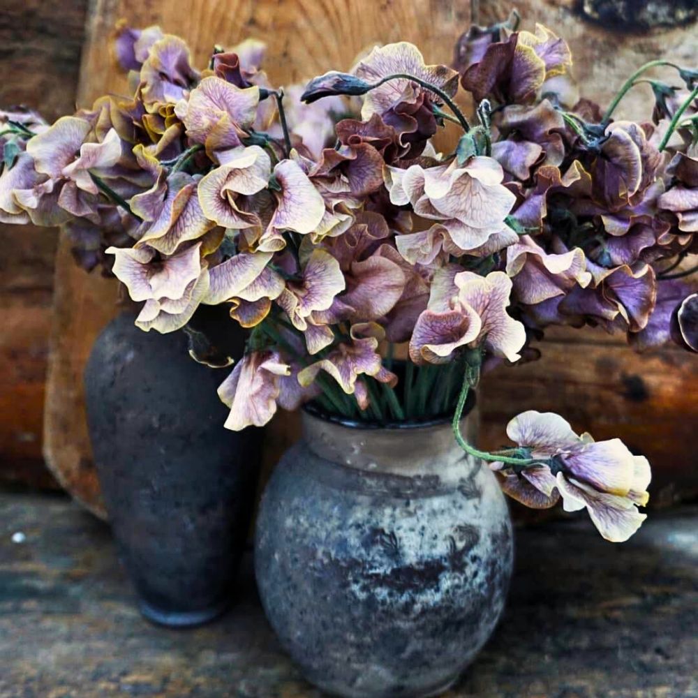 Vip Roses Brings You Practically All Kinds of Dyed and Tinted Flowers.