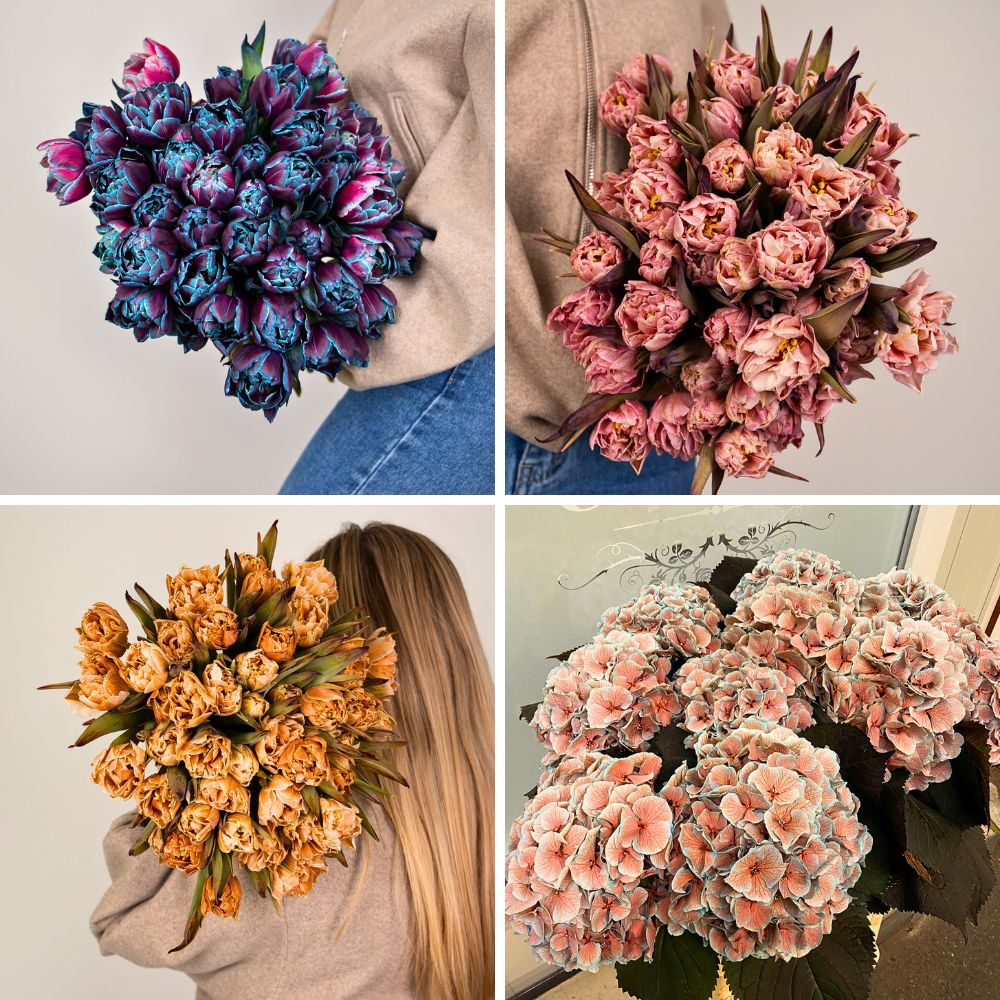 Vip Roses Brings You Practically All Kinds of Dyed and Tinted Flowers.
