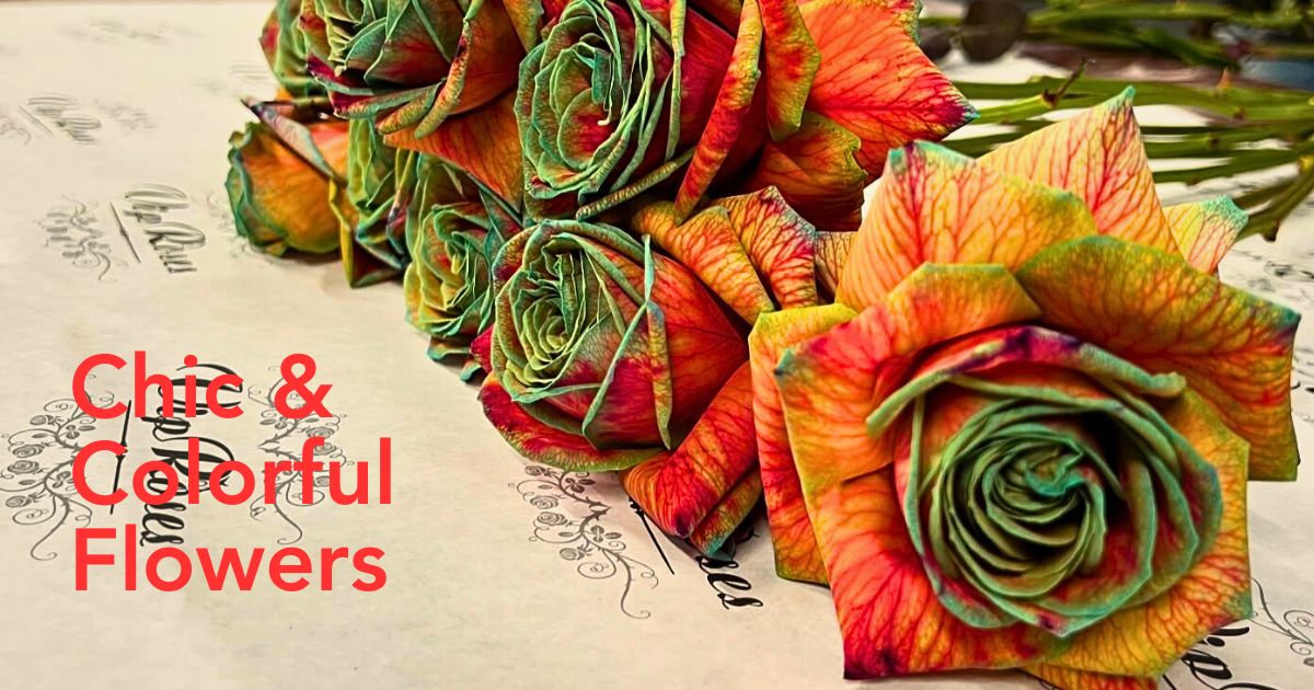 Vip Roses Brings You Roses and Other Flowers, Dyed and Tinted.