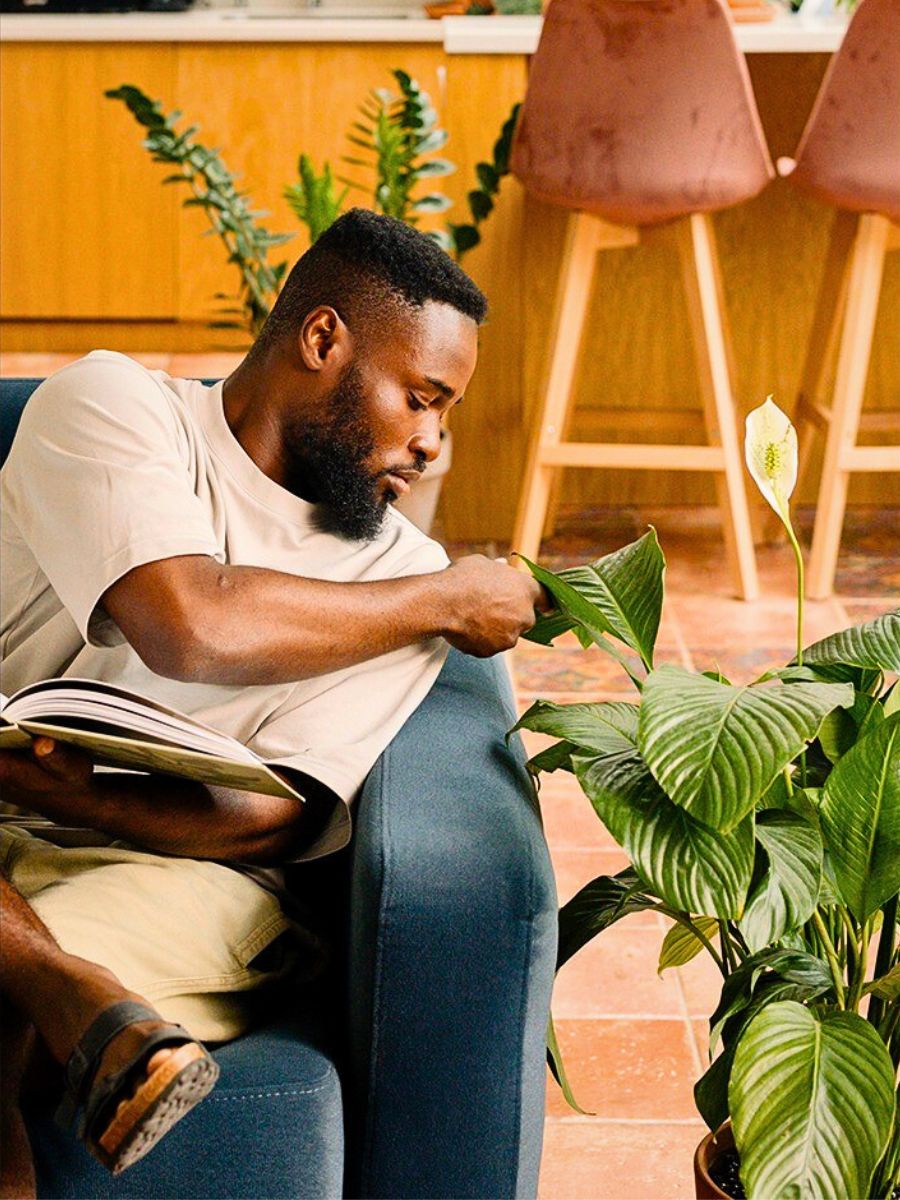 Interior Plants Are Good for You and the Planet