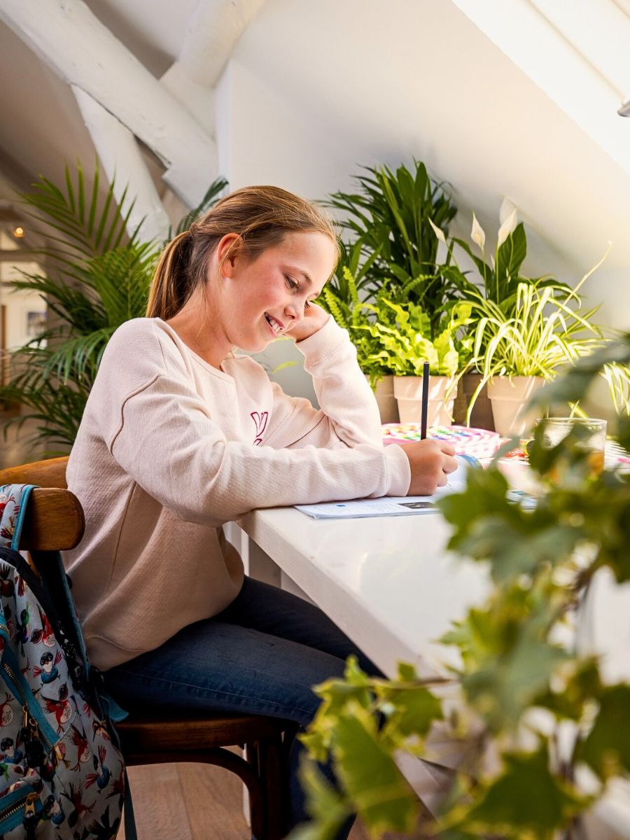 Interior Plants Are Good for You and the Planet