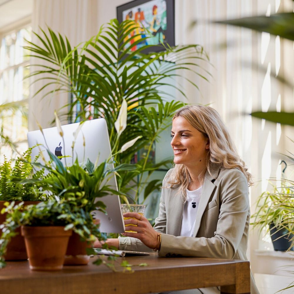 Air So Pure’s Interior Air-Purifying Plants Are Good for You and the Planet