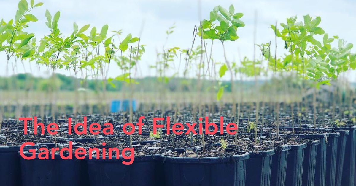 Container tree header image