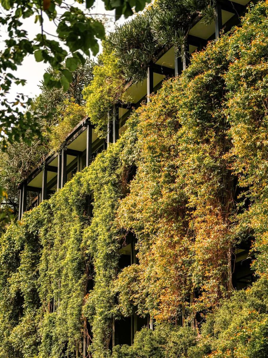 Greenery covering up the entire hotel