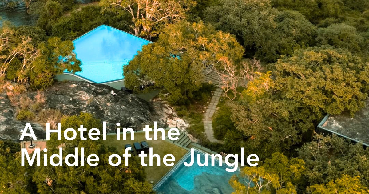 Hotel in the middle of the jungle