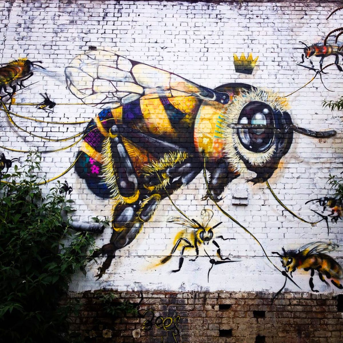 Bee murals by Louis Masai Bee murals by Louis Masai