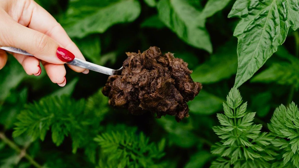  Sideau blocks biodegradable and composted after use by mindfullywed