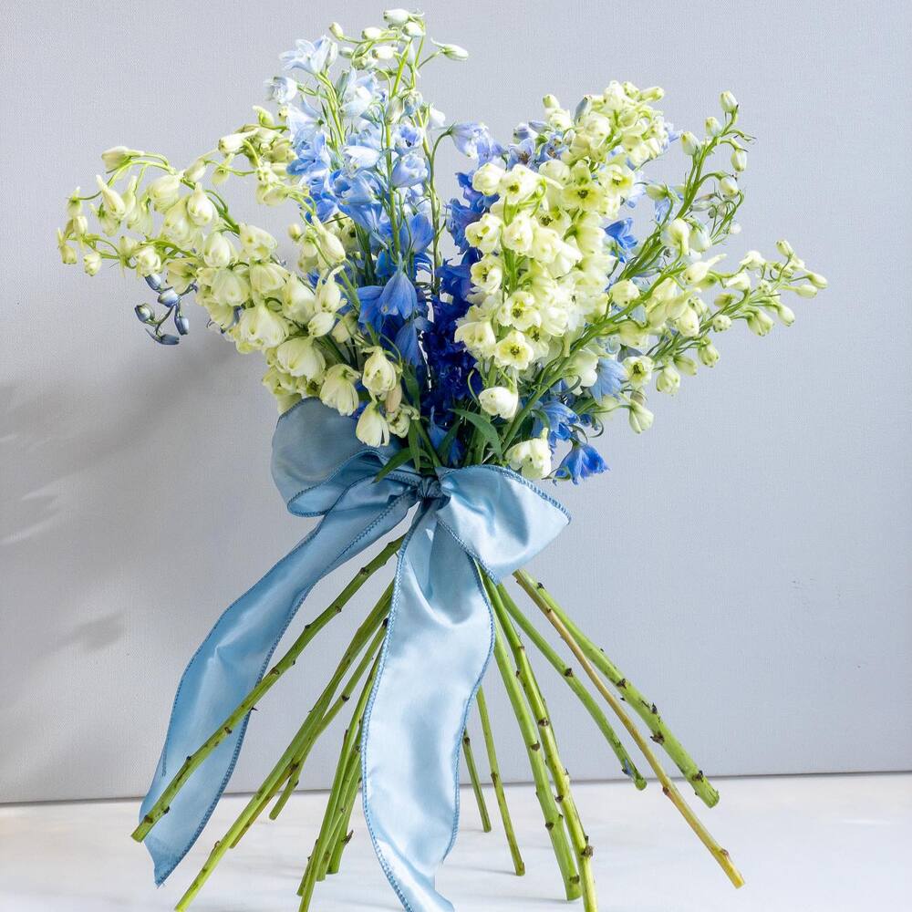 Larkspur bouquet for gifting Larkspur bouquet for gifting - July birth month flower