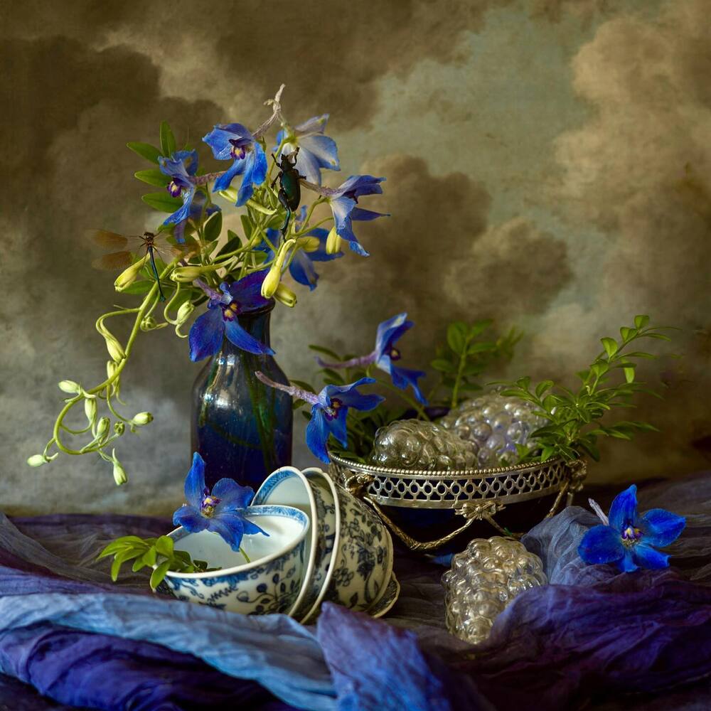 Showcasing Larkspur July month birth flower Showcasing Larkspur July month birth flower