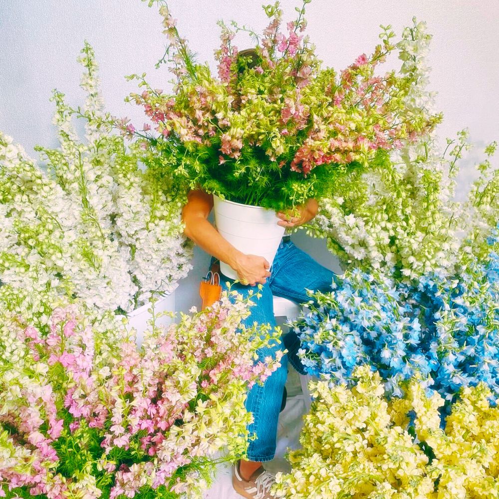 A florist covered with delphinium a June birth flower A florist covered with delphinium a June birth flower